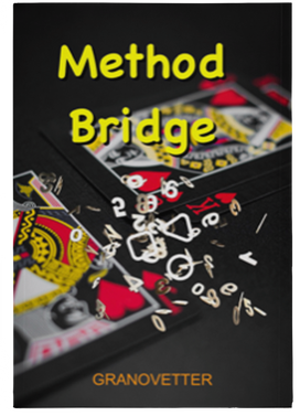 Method Bridge By Matt Granovetter