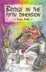 Bridge In The Fifth Dimension By Mollo