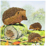 CA Card Kit: Happy Hedgehogs