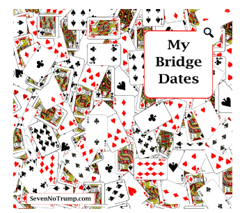 Pocket Planner Calendar