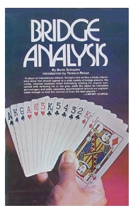 Bridge Analysis by Schapiro