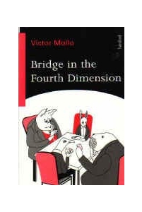 Bridge In The Fourth Dimension By Mollo