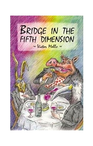 Bridge In The Fifth Dimension By Mollo