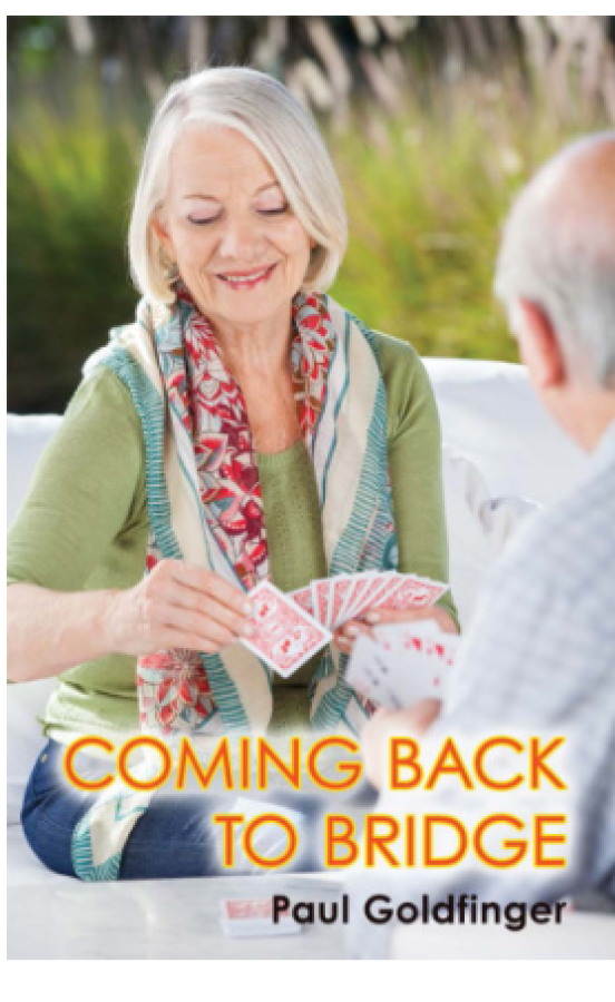 Coming Back To Bridge By: Paul Goldfinger